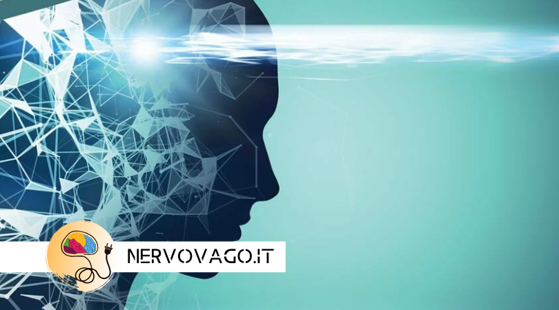 13 importanti funzioni del NERVO VAGO…