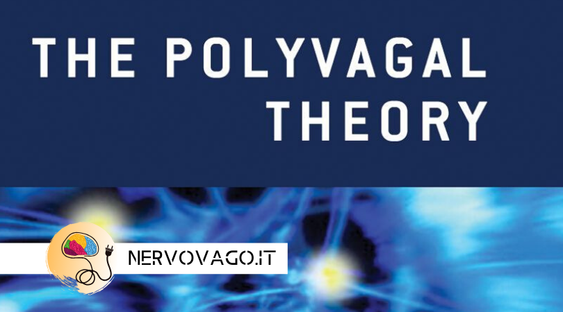 NERVO VAGO: cos è la teoria polivagale?