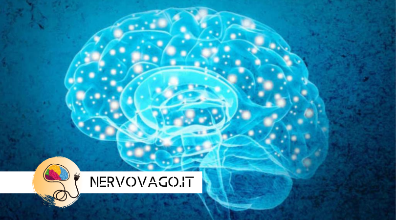 NERVO VAGO: ecco perchè è importante la tua salute e per la tua perdita di peso…