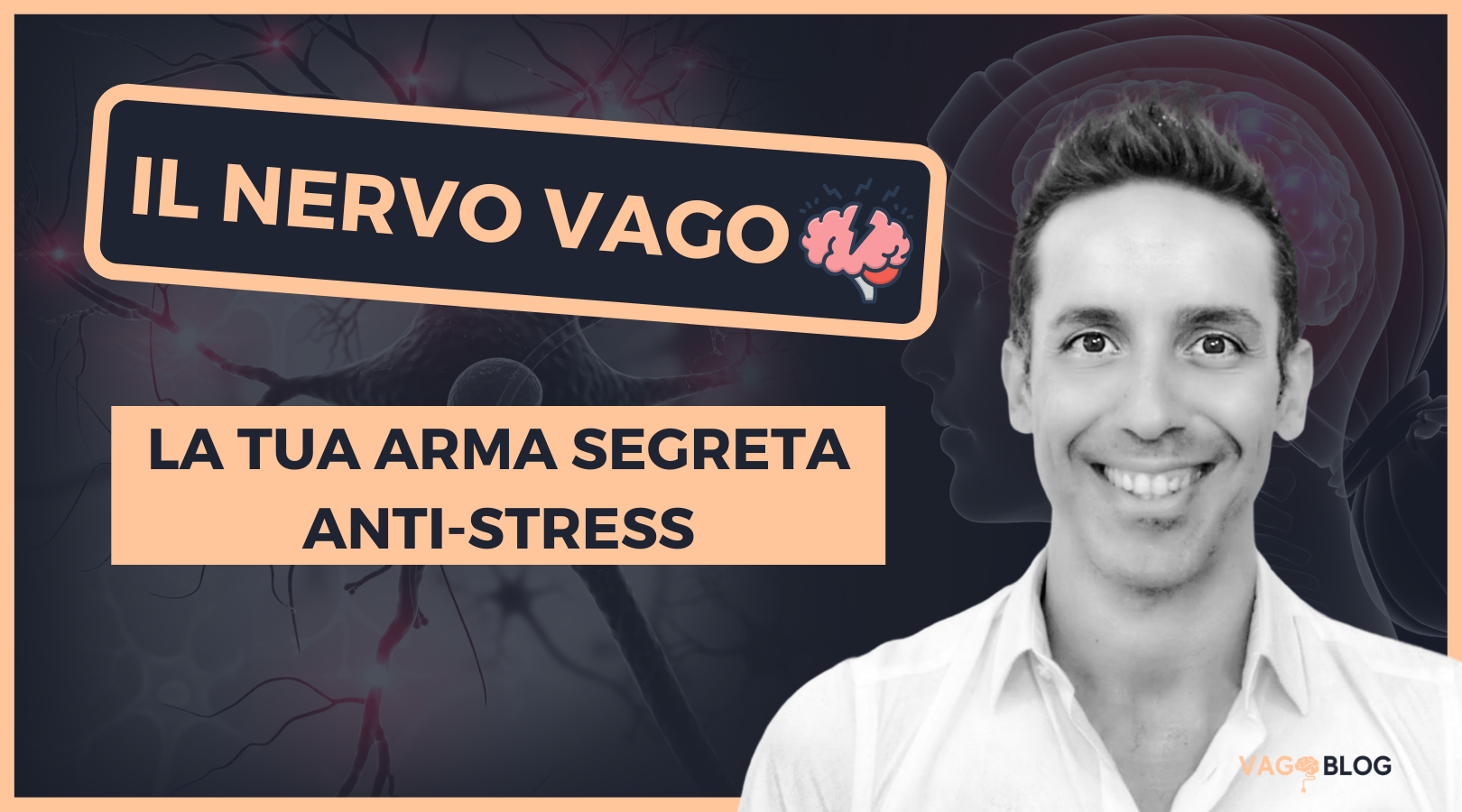 IL NERVO VAGO: la tua arma segreta anti-stress…