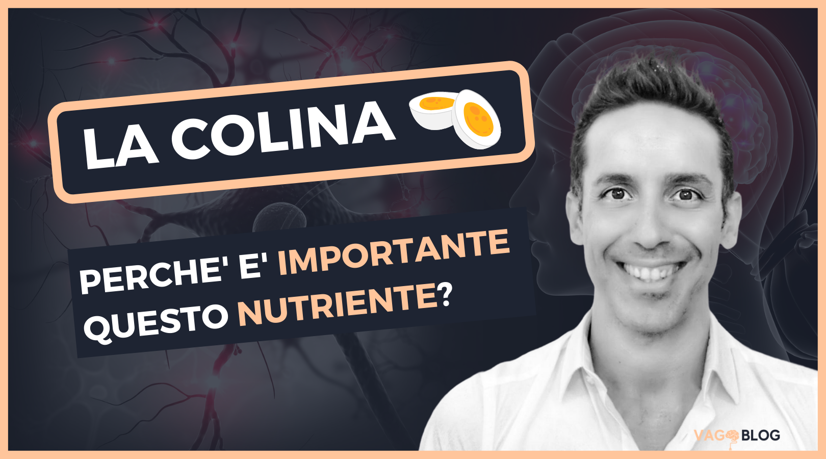 La COLINA: l’importanza di questo nutriente essenziale…